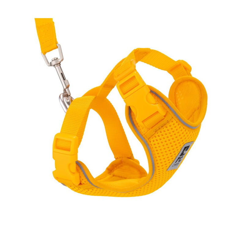 RC Pets Adventure Kitty Cat Harness | Adjustable Airmesh Vest with D-Ring and 6ft Leash for Walking and Travel | Marigold, Large - PawsPlanet Australia