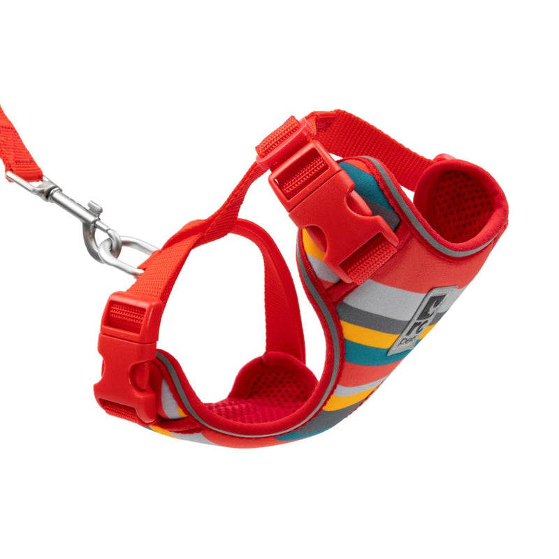 RC Pets Adventure Kitty Cat Harness | Adjustable Airmesh Vest with D-Ring and 6ft Leash for Walking and Travel | Multi Stripes, Medium - PawsPlanet Australia