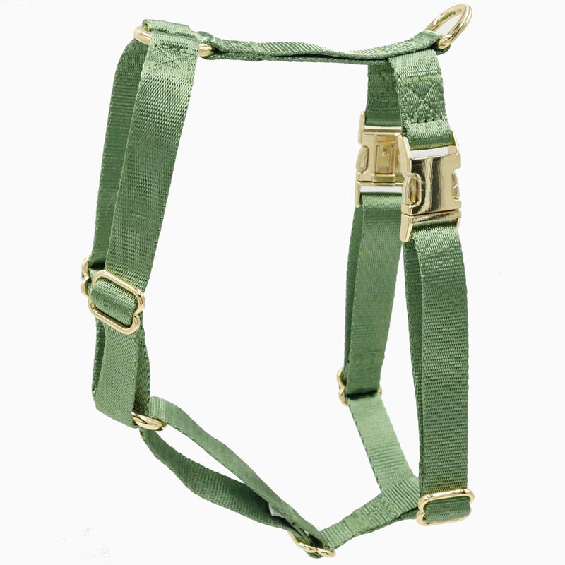 Nylon No Pull Dog Harness with Gold Metal Buckles,Easy Walking and Training Dog Harness (Sage Green, L) Sage green - PawsPlanet Australia