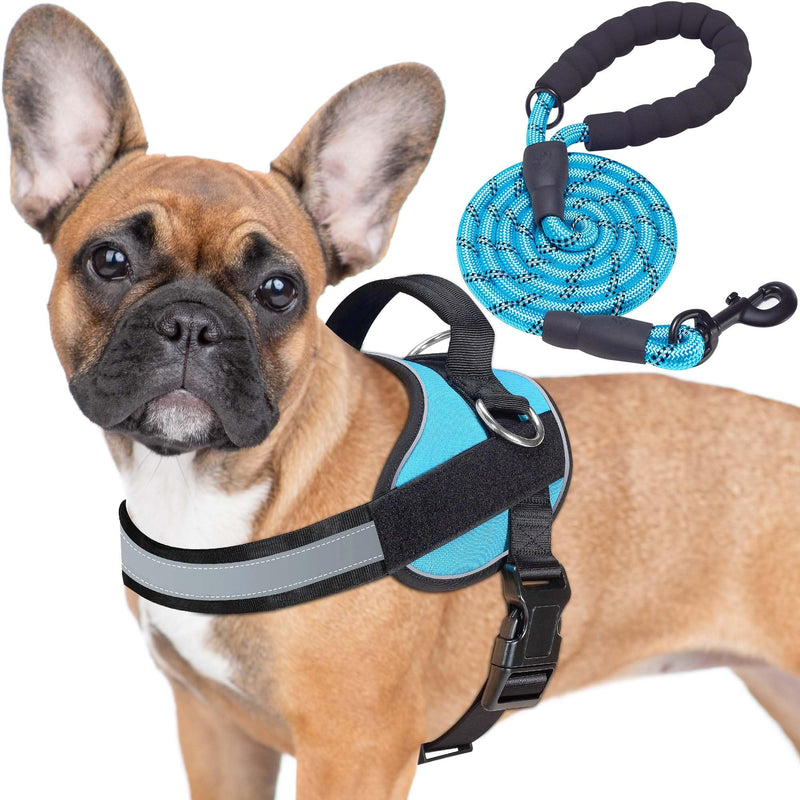 Haapaw Essential Dog Harness, No Pull Pet Vest with 3 Leash Clips, No Choke, Reflective, Adjustable and Padded, for Easy Walking and Training for Medium Dogs(M, Blue) M - PawsPlanet Australia