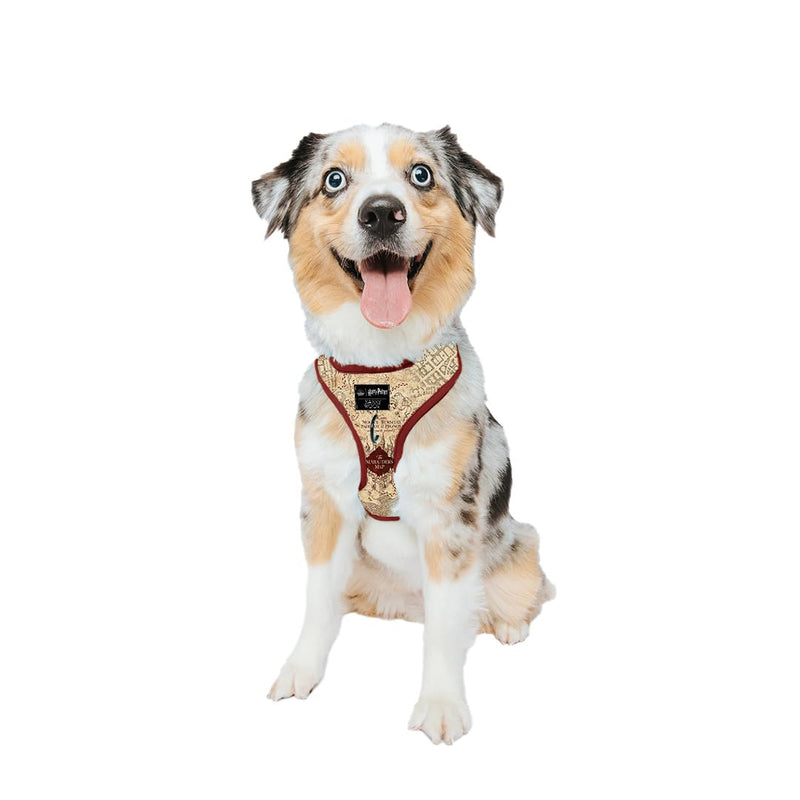 Sassy Woof Dog Adjustable Harness - Harry Potter™ Marauder's Map™ - M, Breathable Mesh, No Pull Design with Two D-Rings, Perfect for Medium Dogs - Officially Licensed - PawsPlanet Australia
