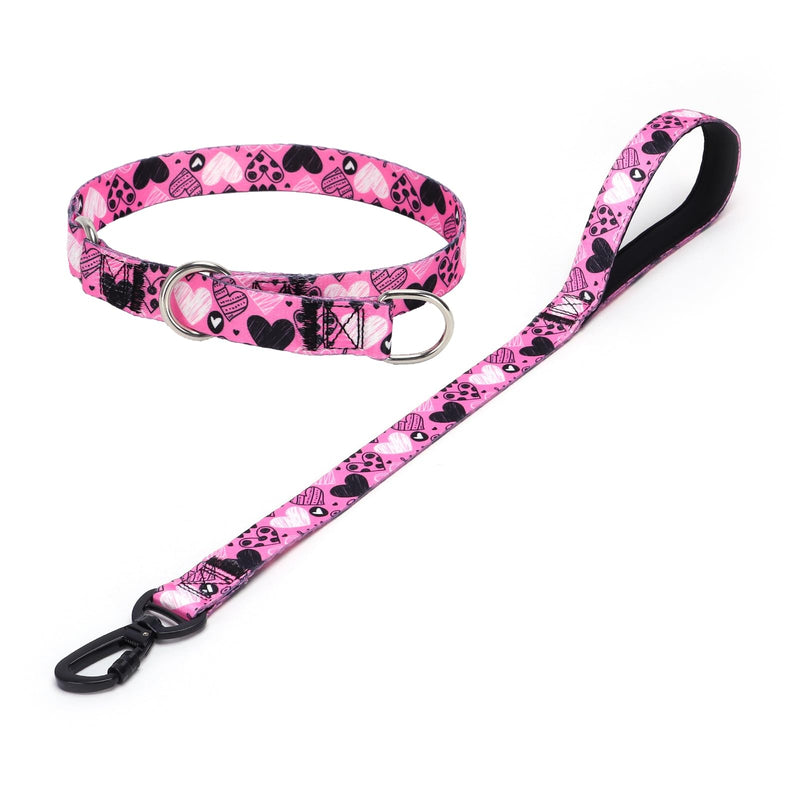 Dog Collar and Leash Set, Slip Collar with Stop Ring, No Pull Martingale Collar for Dogs, for Small, Medium, Large Dogs (NO3, M) NO3 - PawsPlanet Australia
