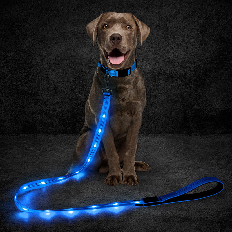 Light Up Dog Leash, 5 Ft LED Dog Lead Rechargeable Glowing Pet Leash with Soft Padded Handle, Safety Dog Lights for Night Walking (Blue) Blue - PawsPlanet Australia