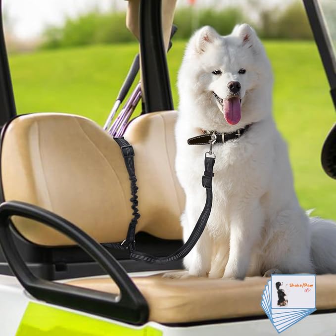 Doggie Seat Leash for Golf Cart, Golf Cart Dog Seat Harness Belt, Stop Dogs Golf Cart Accident by Keeping Dogs from Jumping Off - PawsPlanet Australia