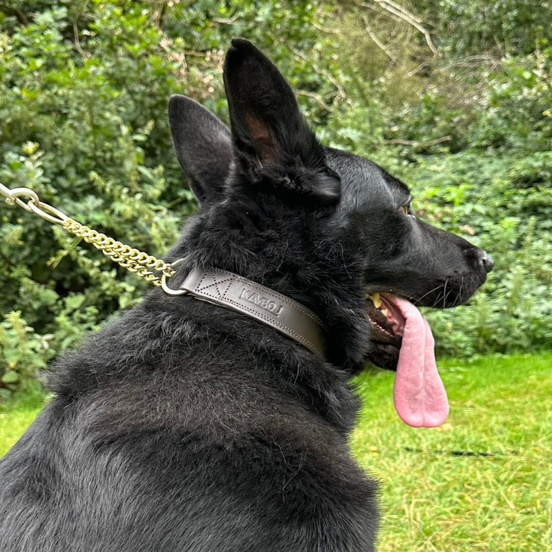 k9 Handmade Leather Martingale Collar for Dogs 100% Brass Hardware Suitable for Medium, Large, Extra Large Breed Dogs Training. Includes Leather Apple Airtag Dog Collar Pocket. (Medium) - PawsPlanet Australia