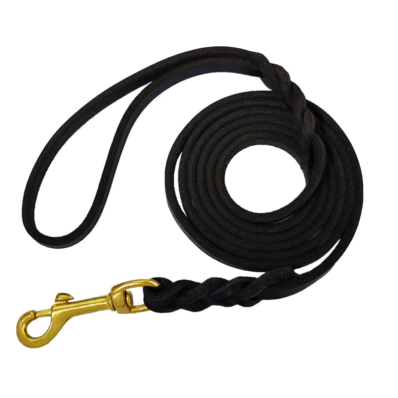 LWBMG Leather Dog Leash for Small Dogs 6ft,Thin Leather Braied Dog Leash, Soft Genuine Leather Dog Training Leash for Small & Medium Dogs （3/8" X 6', Black） braided - PawsPlanet Australia