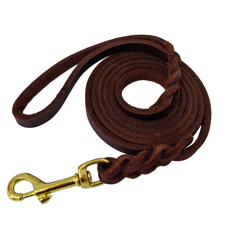 LWBMG Leather Dog Leash for Small Dogs 6ft,Thin Leather Braied Dog Leash, Soft Genuine Leather Dog Training Leash for Small & Medium Dogs （3/8" X 6', Brown） braided - PawsPlanet Australia