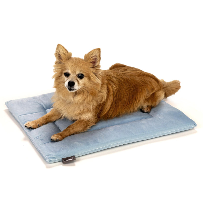KindTail Dog Crate Pad - Soft Velvet, Reversible Bed - Machine Washable Kennel Mat for Pets up to 15 lbs, Mattress for Cozy Sleeping - 20” x 15” x 1” (Light Blue, Small) 20.0"L x 15.0"W x 1"Th Light Blue - PawsPlanet Australia