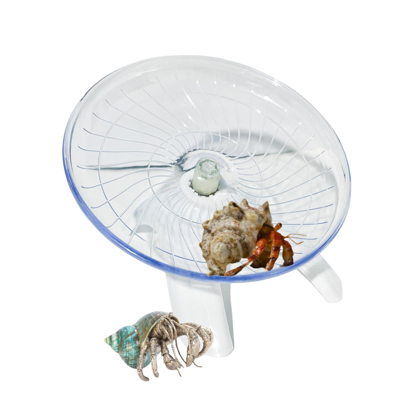 Funny Hermit Crab Running Wheel Climb Toy, Hamster Reptiles Running Flying Wheel Saucer, Cute Running Wheel for Guinea Pig Small Pet Animals Tree Frog Hamster Lizard Salamander Hermit Crab (White) White - PawsPlanet Australia