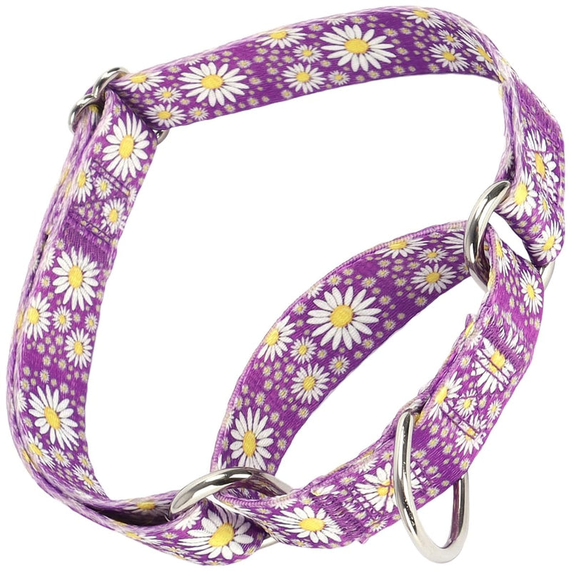 Martingale Collar for Dogs, Adjustable Soft Nylon Dog Collars with Design Cute Daisy Design Patterns for Small Medium Large Dog (Purple, Medium) Purple - PawsPlanet Australia