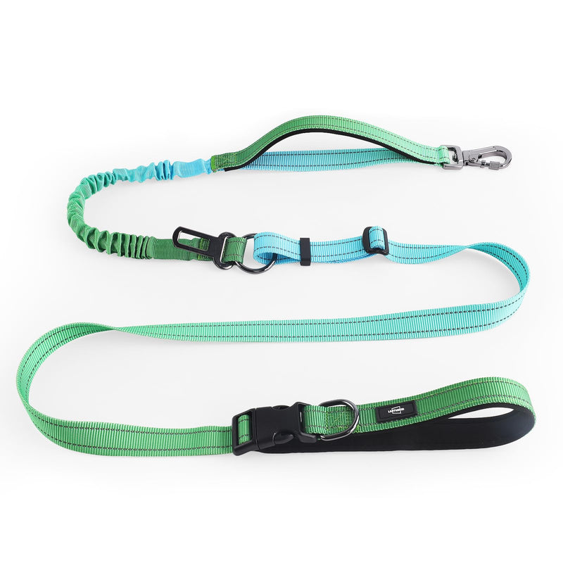 Hands-Free Heavy Duty Bungee Dog Leash, No Pull Running Waist Leash for Walking, Training with Car Seatbelt, Adjustable 4-6FT, Reflective, Dual Handles, Metal Safe Lock (OCEANCHILL) OCEANCHILL - PawsPlanet Australia