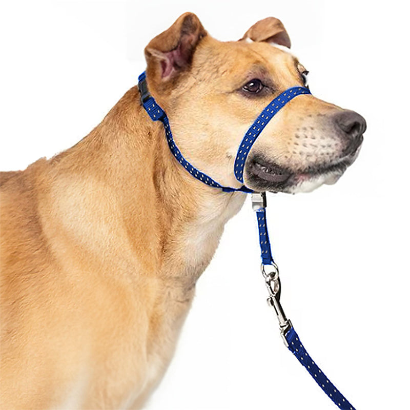 Headcollar for Dogs, Extra Soft Padded, Reflective, No Pull Dog Collar, Gentle Leader for Dogs with Durable Nylon Leash, Padded Handle - Navy Blue (Medium) Medium - PawsPlanet Australia