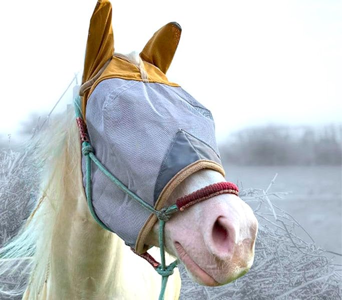 Horse Fly Mask with Ears – Fly Masks with Ears - Non-Heat Transferring Mesh – 70% Uv Protection - Breathable Equine Fly Mask – Size Horses – Soft and Comfortable Face Flymask - PawsPlanet Australia