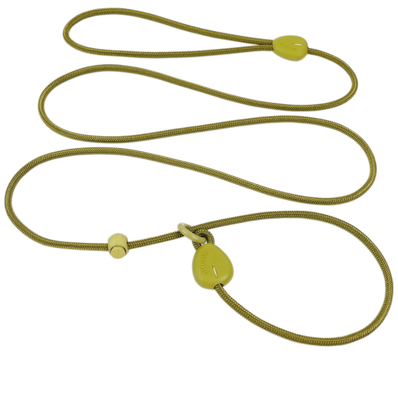 Green 6FT Heavy Duty Dog Training Leash - Comfortable Rope, No Pull, Suitable for Small to Medium Dogs Green - PawsPlanet Australia