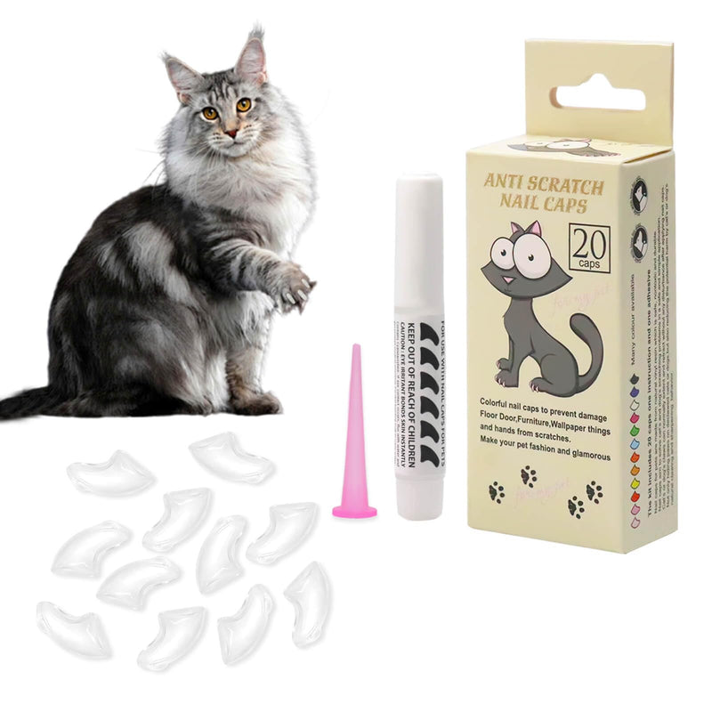 20pcs Cat Nail Caps Clear with Glue Pet Kitten Cat Claw Caps Cat Claw Covers for Indoor Cats (Clear, S) - PawsPlanet Australia