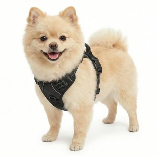 Funfox Dog Harness No Pull, Adjustable Pet Vest Harness Black S with Handle, 2 Leash Clips for Daily Walking Easy Control, Soft Durable Reflective Comfortable for Small Sized Dogs - PawsPlanet Australia