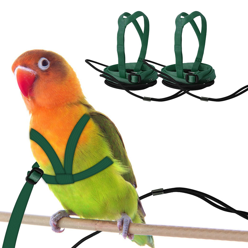 2 pcs Pet Parrot Bird Harness and Leash, Adjustable Training Design Anti-Bite, Outdoor Flying Training Rope Kit for Bird Parrots Fits Birds Chest Between24-51cm /9.45-20inch - M (Green) green Small - PawsPlanet Australia