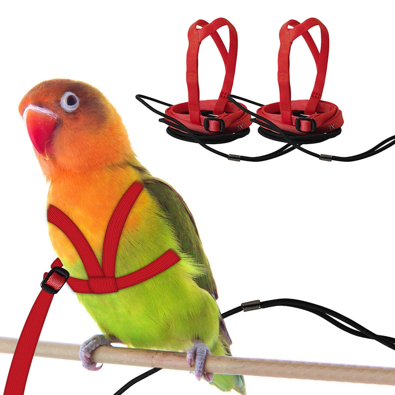 2 pcs Pet Parrot Bird Harness and Leash, Adjustable Training Design Anti-Bite, Outdoor Flying Training Rope Kit for Bird Parrots Fits Birds Chest Between24-51cm /9.45-20inch - M (red red - PawsPlanet Australia