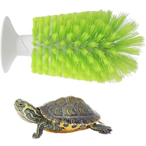 Turtle Brush with Suction Cup for Tank Scratches - Back and Shell Cleaning, Scrub for Red Eared Slider, Exfoliate and Remove Scutes (Green) Green - PawsPlanet Australia