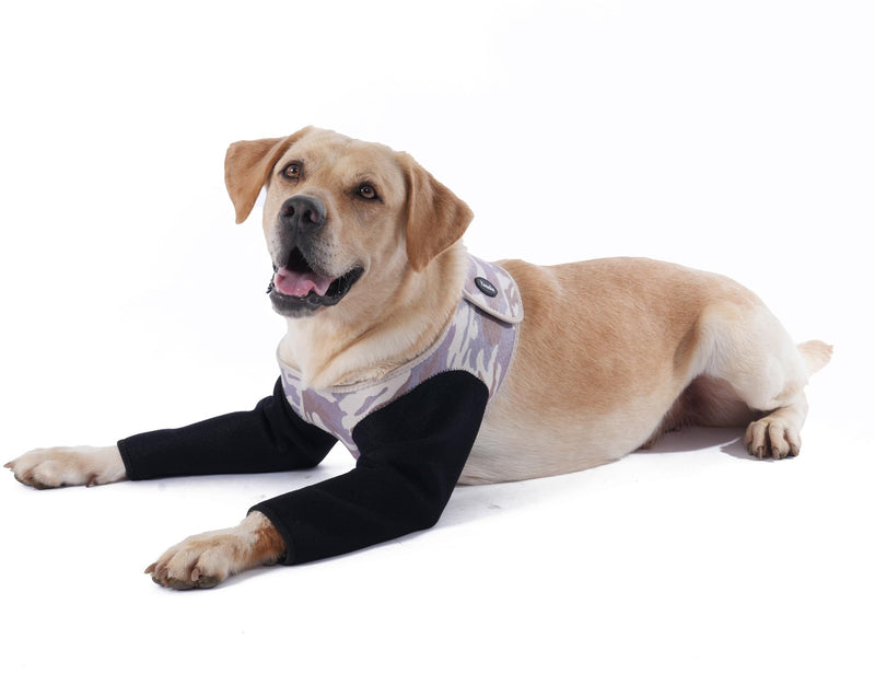 Dog Recovery Sleeve, Dog Recovery Suit, Abrasion Resistant Dog Recovery Sleeve Front Leg, Washable 3mm Thick and Breathable, Pet Wounds Prevent Licking, Bite, Being Wet (XLarge, Both Legs) XLarge - PawsPlanet Australia
