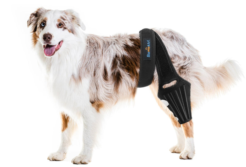 Dog Knee Brace for Torn ACL Hind Leg, Rear Leg Brace Support for Cruciate Ligament Injury, Joint Pain and Muscle Sore, Easy to Put On and Off Dog Braces for Back Leg L - PawsPlanet Australia