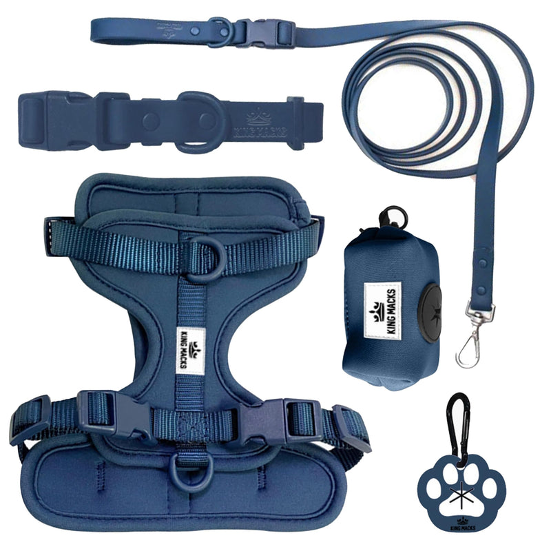 King Macks Dog Harness Set with Collar and Leash, Waste Bag Holder and Dirty Waste Bag Clip, Adjustable for Small/Medium/Large Dogs, Lightweight (Blue with Green, Large) Blue with Green - PawsPlanet Australia