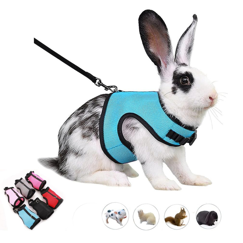 Rabbit Leash and Harness Set Escape Proof, Bunny Vest Hamster Leash Set Mesh Eescape Proof Walking Training for Small Animal Pets Rat Squirrel Ferret Guinea Pig Bunny,Blue L Light Blue L Chest 7.8-11.8",For Adult Rabbits - PawsPlanet Australia