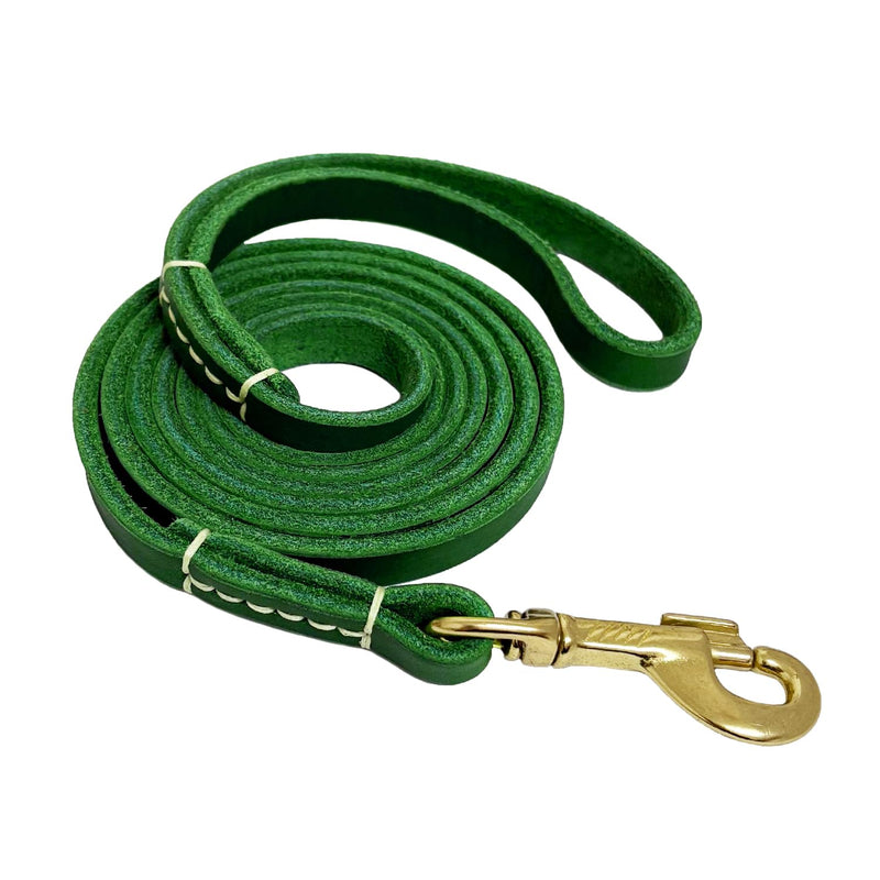 LWBMG Leather Dog Leash for Small Dogs 6ft, Heavy Duty Pet Lead, Soft Genuine Leather Leash for Small Medium Dogs（1/2" X 6', Green） 6ft x 1/2'' - PawsPlanet Australia