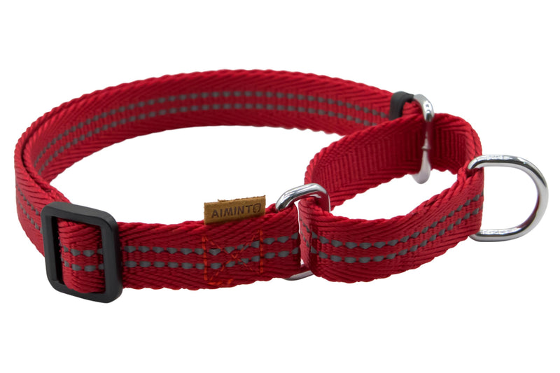 Adjustable Nylon Reflective Martingale Dog Collar for Training and Walking (Red, M (Neck: 15"-22", Width: 3/4")) M (Neck: 15"-22", Width: 3/4") Red - PawsPlanet Australia