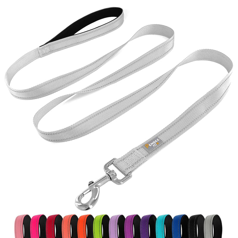 Dog Leash 6 FT Padded Handle Nylon Reflective Dogs Leashes for Medium Dogs Silver Medium : 3/4" x 6 FT Reflective Silver - PawsPlanet Australia