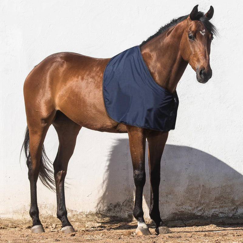 Horse Shoulder Guard Anti-Rub Vest for Horses Match with Stable Rug or Turnout Rug Navy Medium Cob - PawsPlanet Australia