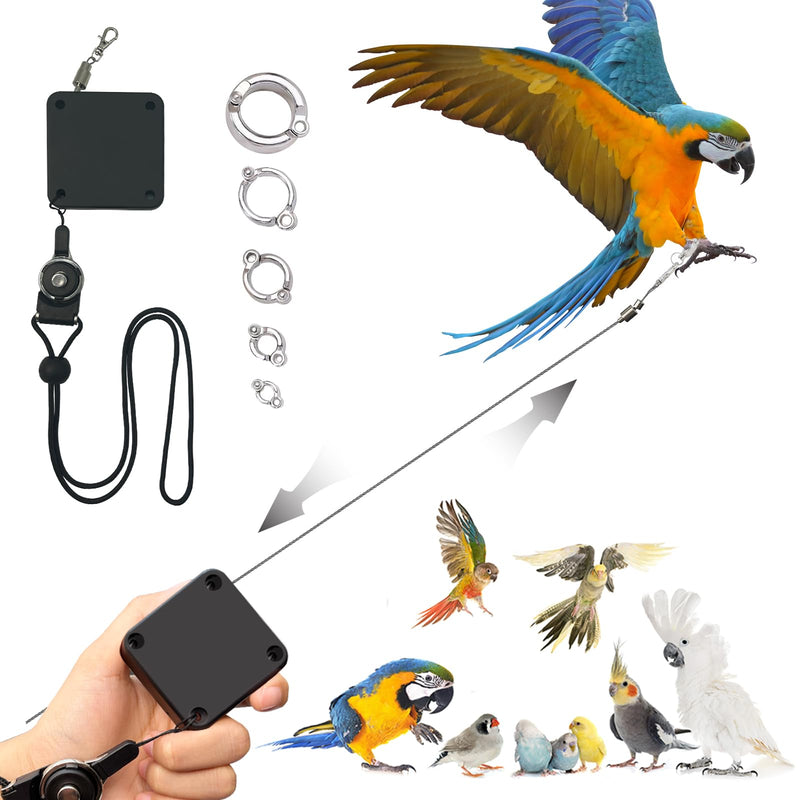 Retractable Bird Leash,Parrot Flying Rope,Anti-Bite Wire Rope Parrot Leash,Adjustable Bird Leash Harness for Training,with 5pcs Alloy Foot Rings,for Budgies,Cockatiels,Crested Cockatoo,Macaws,20ft - PawsPlanet Australia