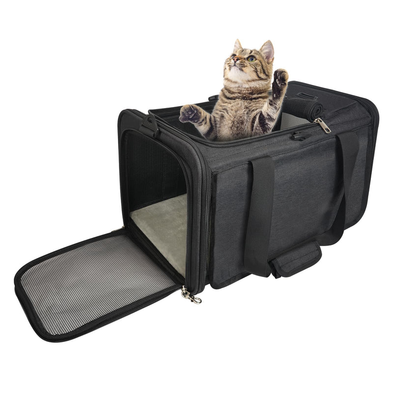 Cat Carrier American, United, Delta Airline Approved/Soft-Sided Pet Travel Bag for Medium Cat 15+ lbs Small Dog Traveling Crate Under 15 Pounds TSA Approved Carrying Cage Underseat Cabin Black - PawsPlanet Australia