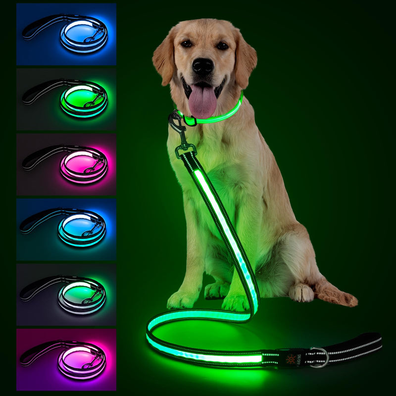 4 Ft LED Dog Leash, Light Up & Lighted Dog Leash, 7 Lighting Modes, Glow in The Dark, Reflective, Double-Sided Light, Rechargeable with Padded Handle for Night Walking Safety, Small to Large Pets - PawsPlanet Australia