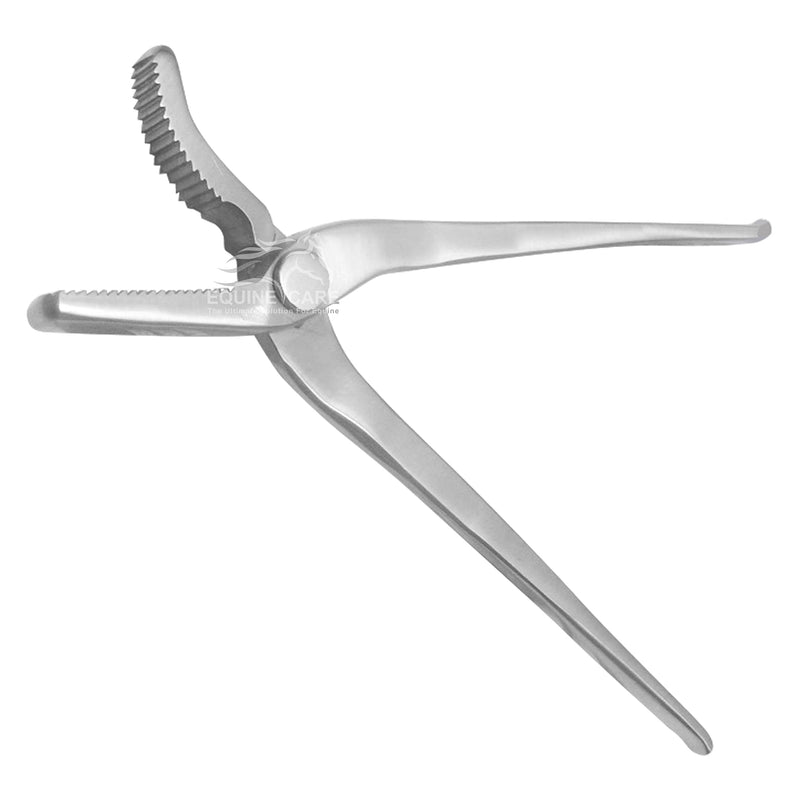 Hoof Clincher 12-Inch – Professional Chrome Vanadium Steel Farrier Tool | Horseshoeing & Hoof Trimming Supplies for Expert Farriers, Vets & Horse Owners (Alligator Jaw) Alligator Jaw - PawsPlanet Australia