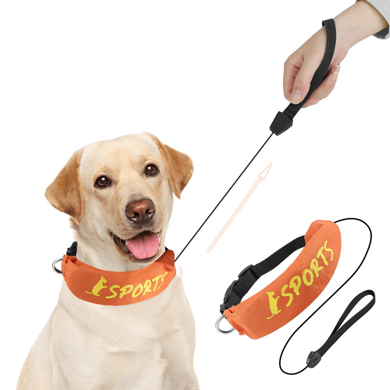 Lesypet 2 in 1 Retractable Dog Leash Collar, Hands-Free Dog Walking Collar with Retractable Leash for Medium Large Breed Dog Outdoor, Orange L - PawsPlanet Australia