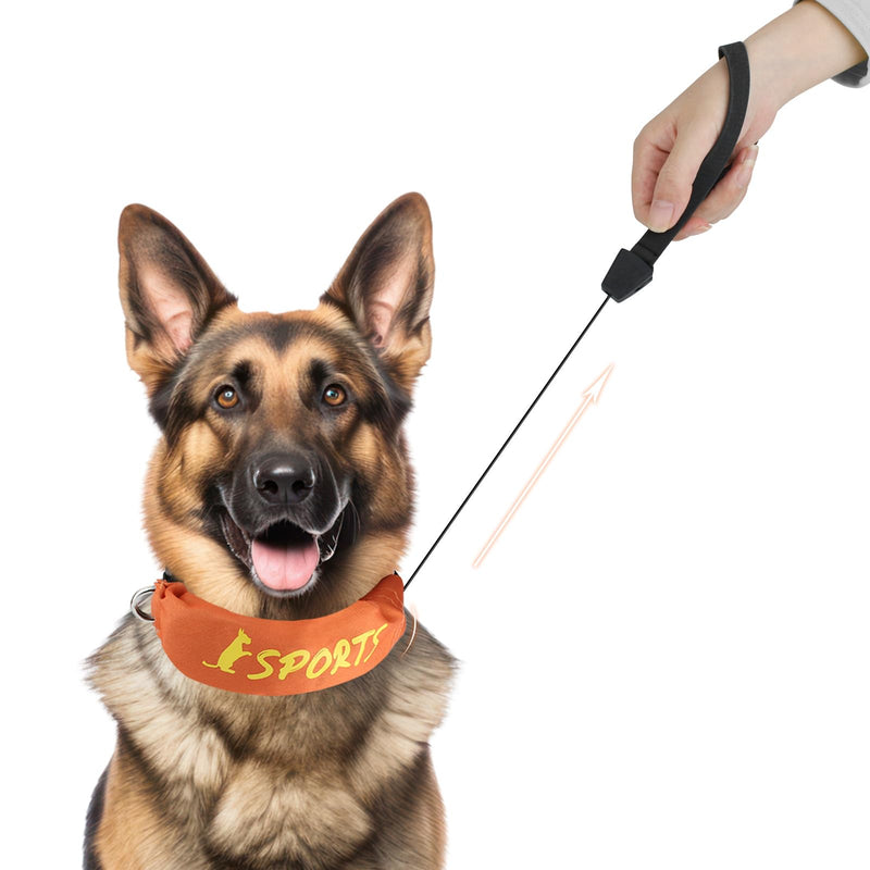 2 in 1 Dog Collar with Retractable Dogs Leash, Adjustable Dog Collar for Medium to Large Dogs Size L - PawsPlanet Australia