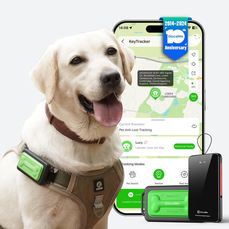 GlocalMe KeyTracker GPS Tracker for Dogs, Global Unlimited Range Pet Tracker with 6 Location Technologies for Real Time Tracking, GPS Dog Tracker with Global Network Service, Waterproof - PawsPlanet Australia