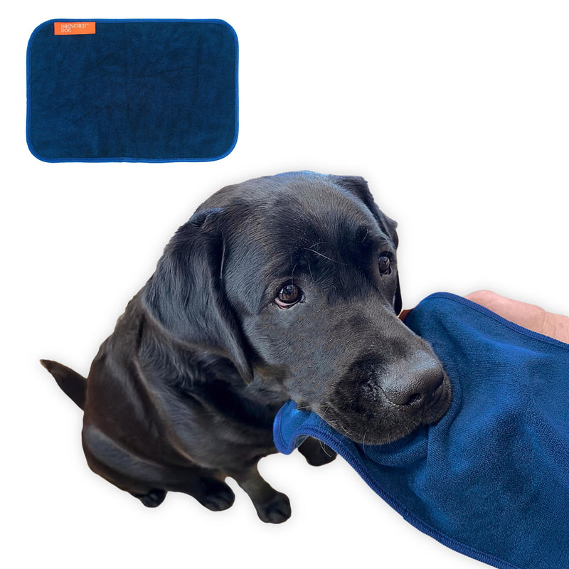 Pet Towel for Drying Dogs Face and Mouth – Ultra-Soft Microfiber, Super Absorbent, Quick Dry and Machine Washable, Must Have for Pets Drool, Spill, Dirt, Eye – Hand Size, Blue, 7.8x12.5in - PawsPlanet Australia