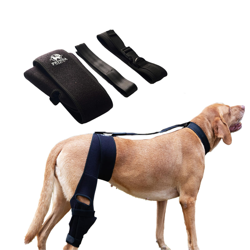Adjustable Dog Knee Brace for Torn ACL and Luxating Patella - Support for Back Leg, Hip Dysplasia, and Post-Surgery Recovery. Optimal Comfort and Stability for Your Beloved Pet Medium - PawsPlanet Australia