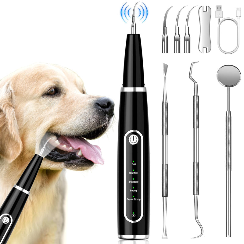 Dog Plaque Remover for Teeth, Dog Teeth Cleaning Kit with LED Light and 5 Modes for Dogs and Cats,Black Black - PawsPlanet Australia