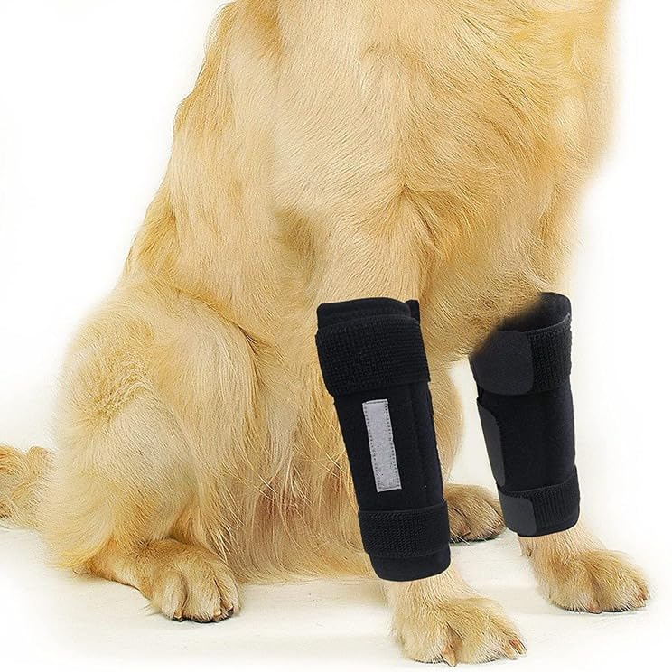 INDEEMAX Front Leg Brace for Dogs & Cats, Dog Leg Brace with Metal Spring Inserts, Dog Leg Sleeve for Carpal Support, Dog Leg Sleeve with Reflective Straps, L/XL, 1 Pack - PawsPlanet Australia