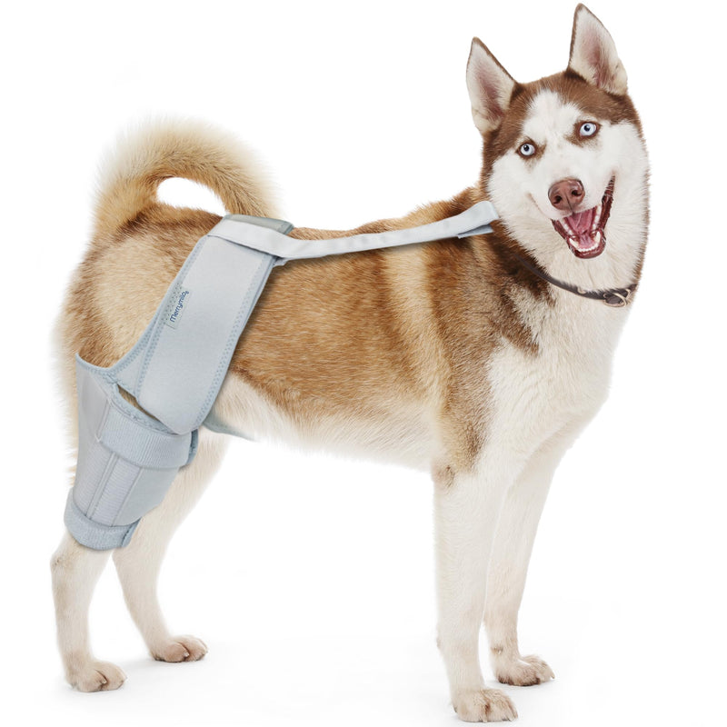 Dog Knee Brace, Torn ACL Hind Leg, Dog Hip Brace, Dog Leg Braces, Cruciate Care Knee Brace for Dogs, Size: L - PawsPlanet Australia