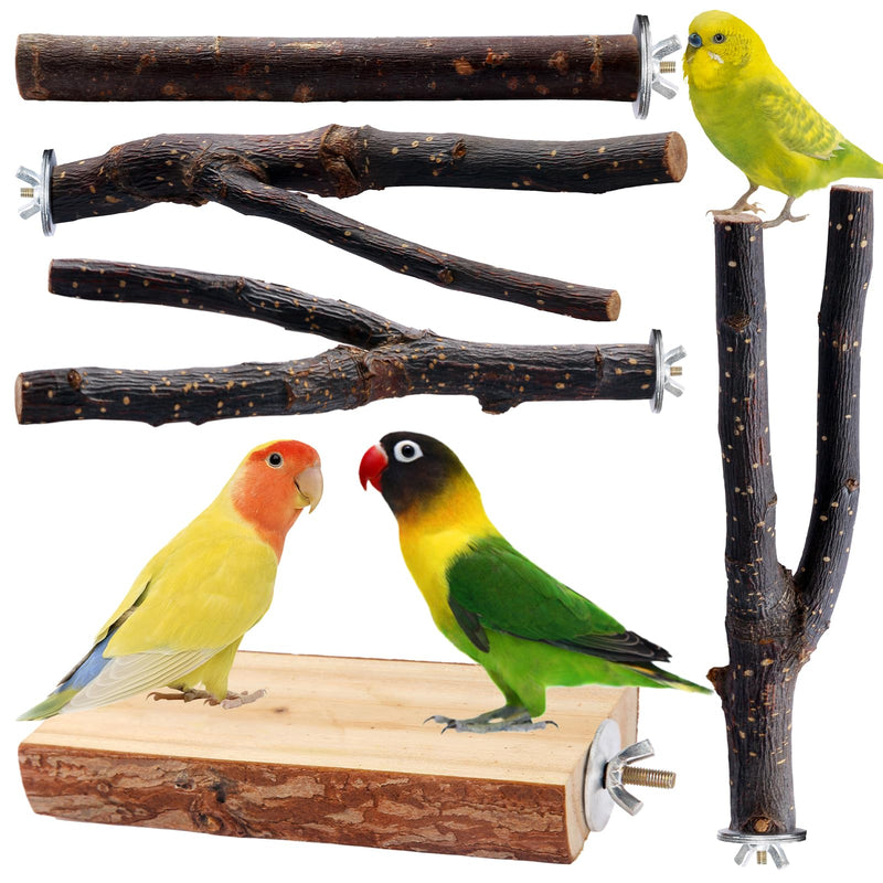 Bird Toys Parakeet Perch Budgie Perch Wood Stand Fork Toys Multi-Branch Perch Platform Toy for Small Conures,Cockatiel,Parrotlet,Lovebird,Parrot,Finches - PawsPlanet Australia