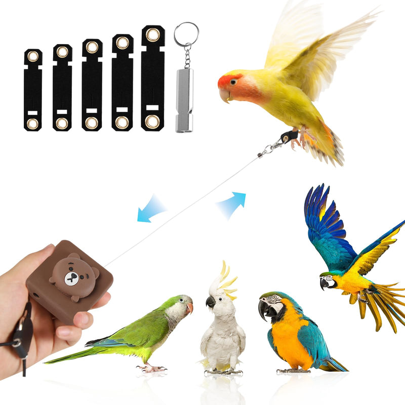 Bird Leash, 2024 New Bird Harness, Retractable Parrot Leash, Used for Bird Flight Training, 0-20 Feet Freely Adjustable, Suitable for Various Birds (Brown Bear) Brown bear - PawsPlanet Australia