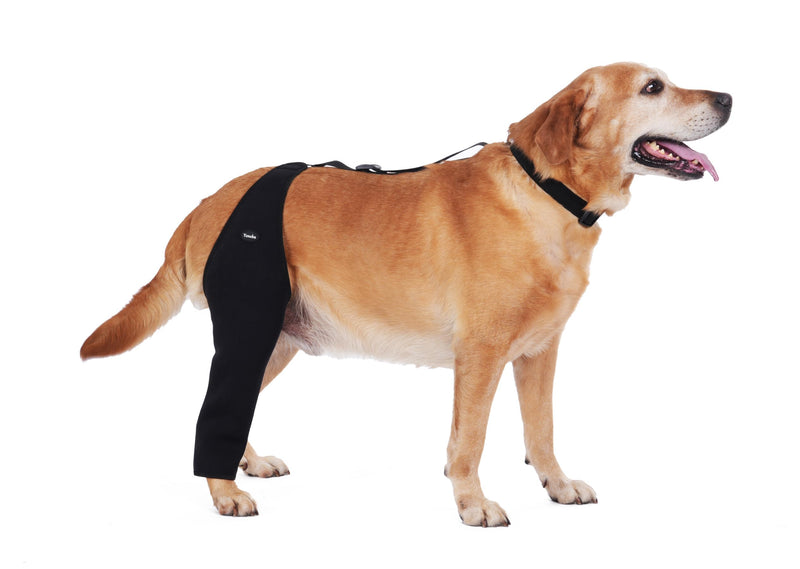Dog Recovery Sleeve Back Leg Waterproof Diving Material,Dog Leg Sleeve to Stop Licking and Biting Firm and Secure, Adjustable Size, 2.5mm Thick Comfortable Alternative to Cone Collars (Small) Small - PawsPlanet Australia