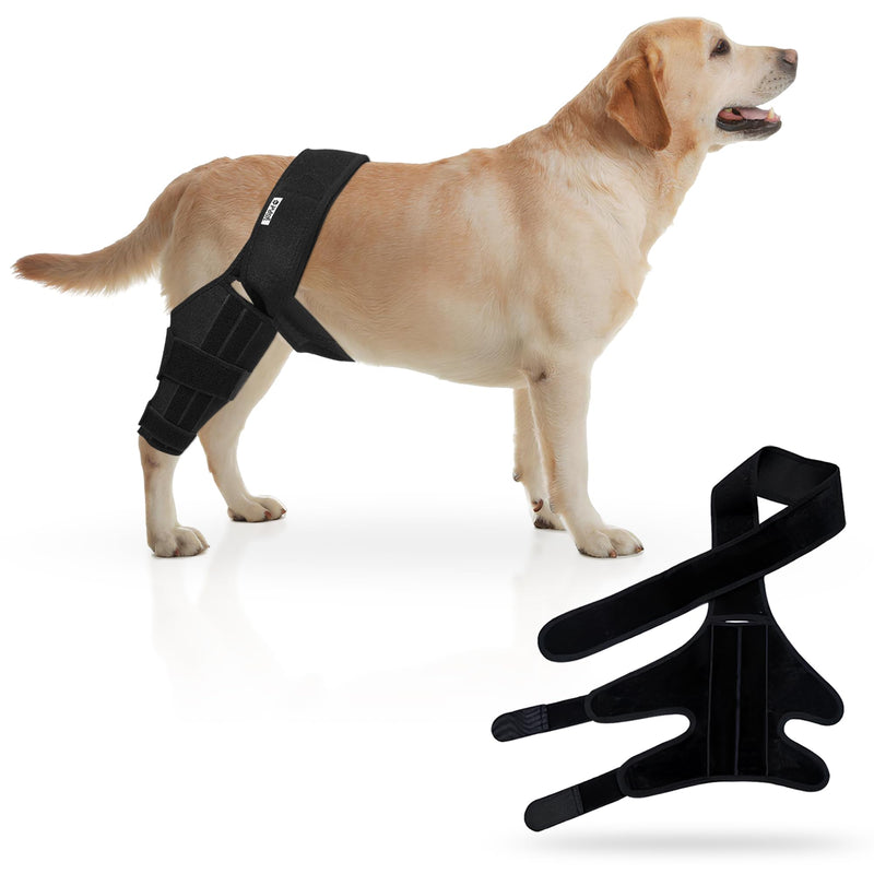 Premium Dog Knee Brace for Torn ACL/CCL - Large Universal Brace for Hind Leg Support and Hip Dysplasia - Durable Dog Leg Braces for All Four Legs Neoprene Dog Knee Brace - PawsPlanet Australia