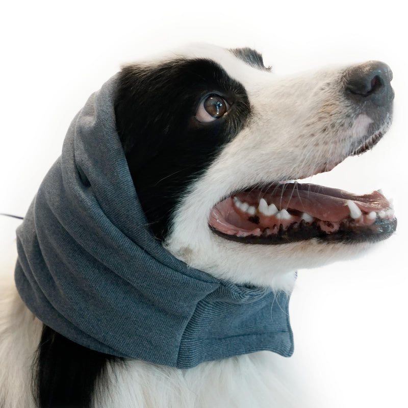 Rizzco Ear Guards for Dogs and Cats - Headband for Anxiety Relief, No-Flap Ear Wraps, Soft Ear Muffs for Noise Protection, Sleeping, Fireworks, Grooming, Drying, and Thunderstorms Large(Head Girth:18.5"-24.4") - PawsPlanet Australia