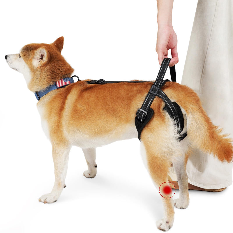 ROZKITCH Pet Dog Support Harness Rear Lifting Harness for Back Legs Reflective Dog Sling Vet Approved for Old Helps with Poor Stability Hind Legs, Joint Injuries Elderly Arthritis ACL Rehab Black L L(Leg Girth: 21.2-27.5") - PawsPlanet Australia