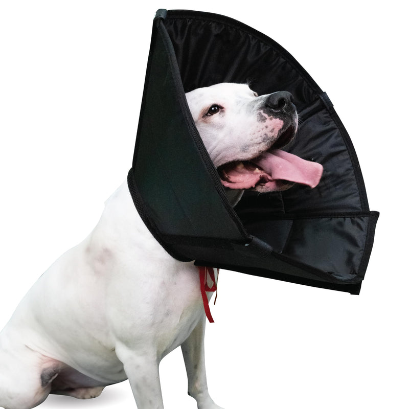 Dog Cone Collar Adjustable After Surgery, Protective Soft Dog and Cat Cone, Elizabethan Collar for Dogs and Cats, Comfortable Dog Cone, Adjustable Cat Cone (Black, S Long [Neck Girth: 11.4"-14.2"]) Black S Long [Neck Girth: 11.4"-14.2"] - PawsPlanet Australia